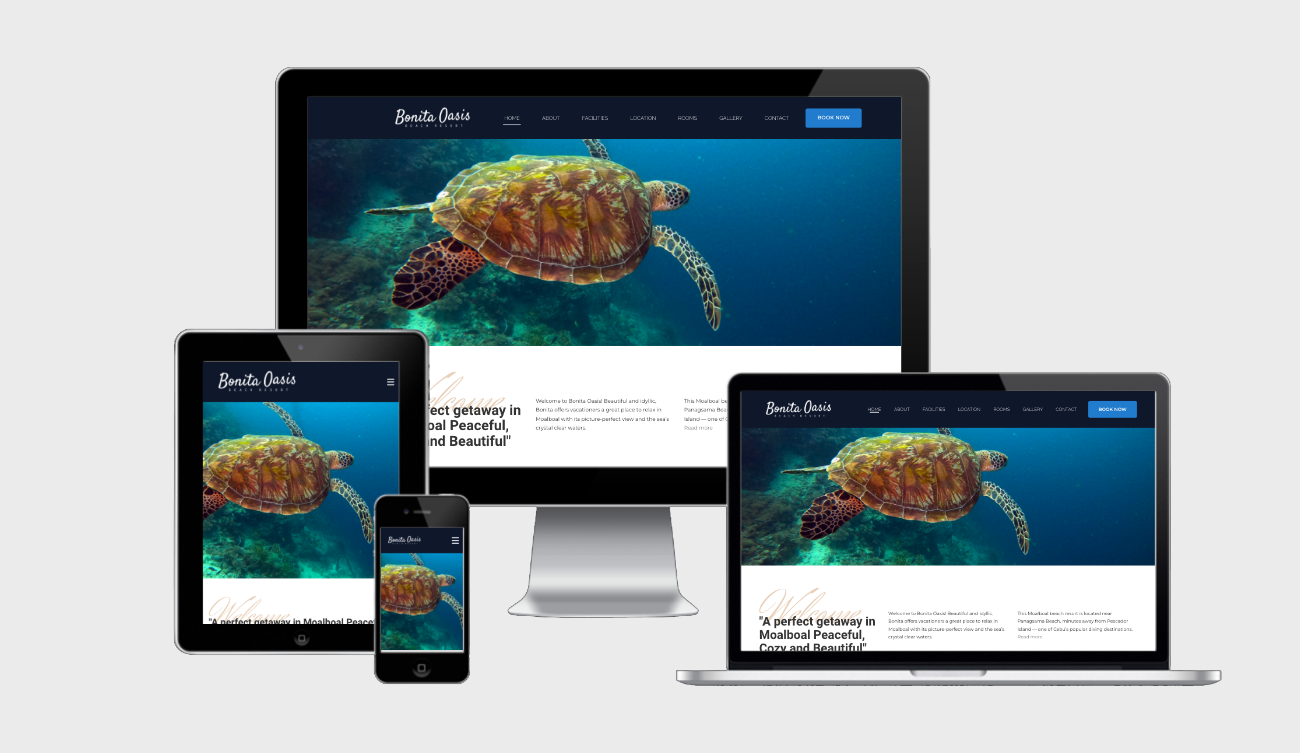 Bonita Oasis Beach Resort v2